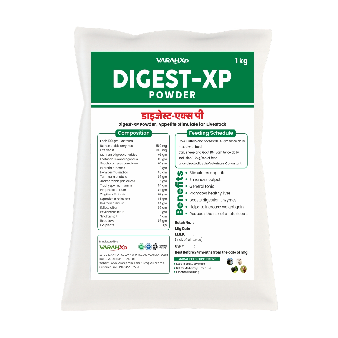 DIGEST-XP