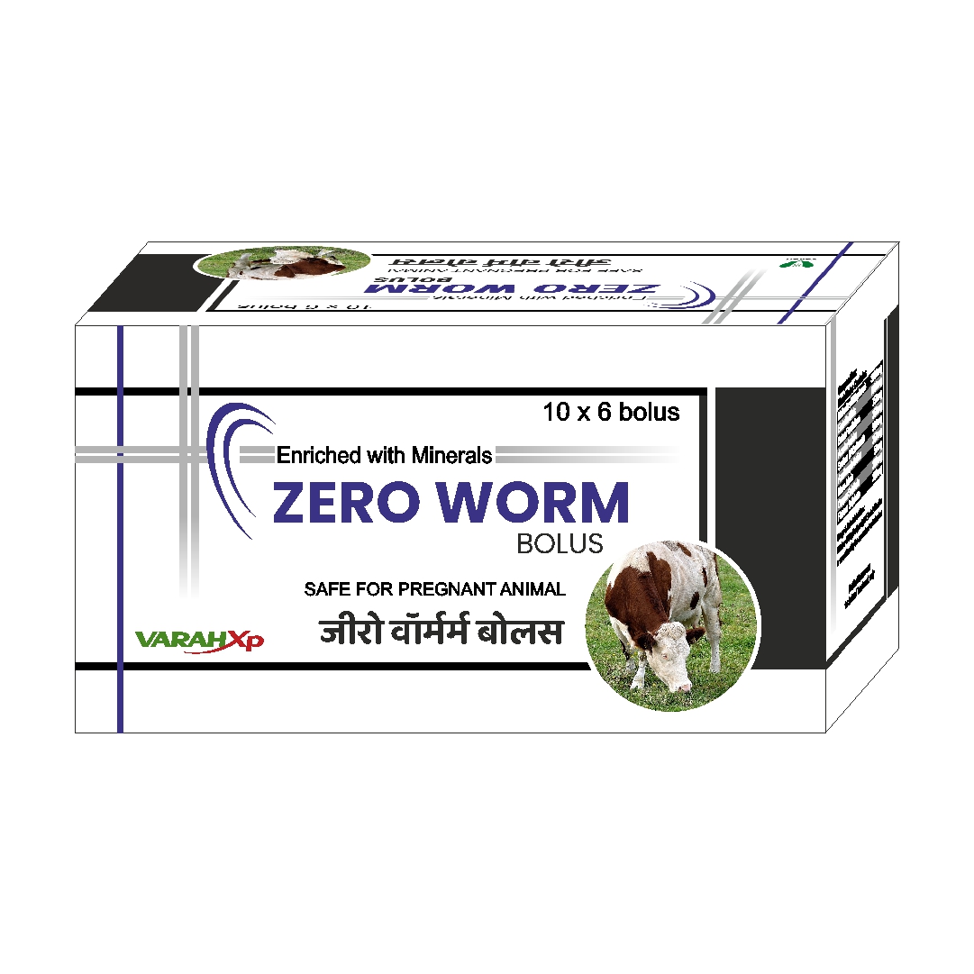Zero Worm