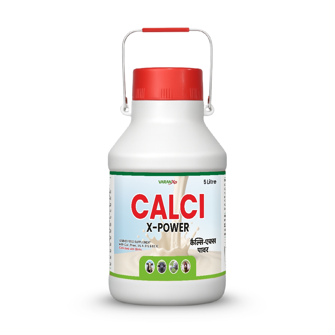 CALCI X-POWER